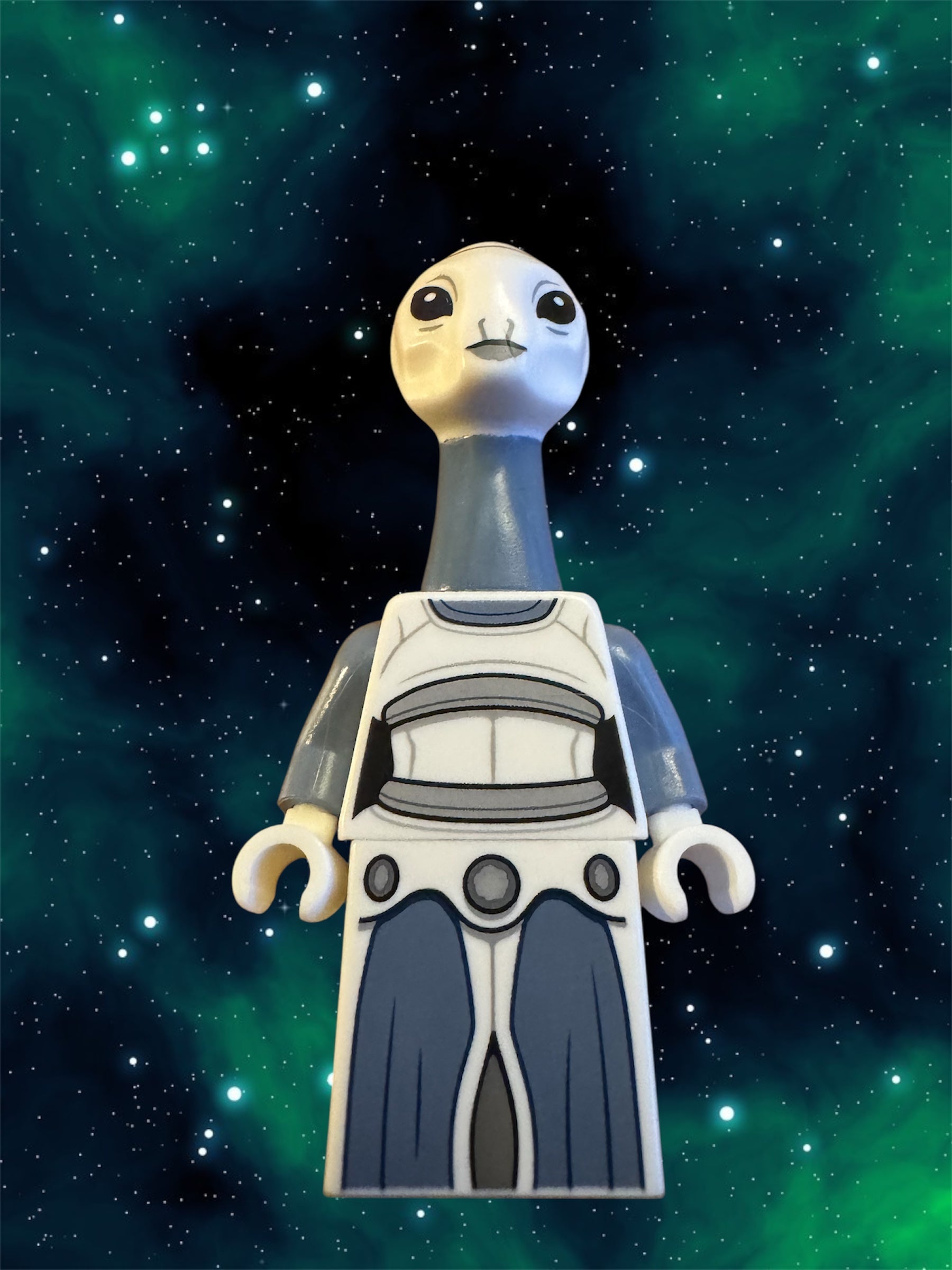 Lego Star Wars Taun We sw1216
