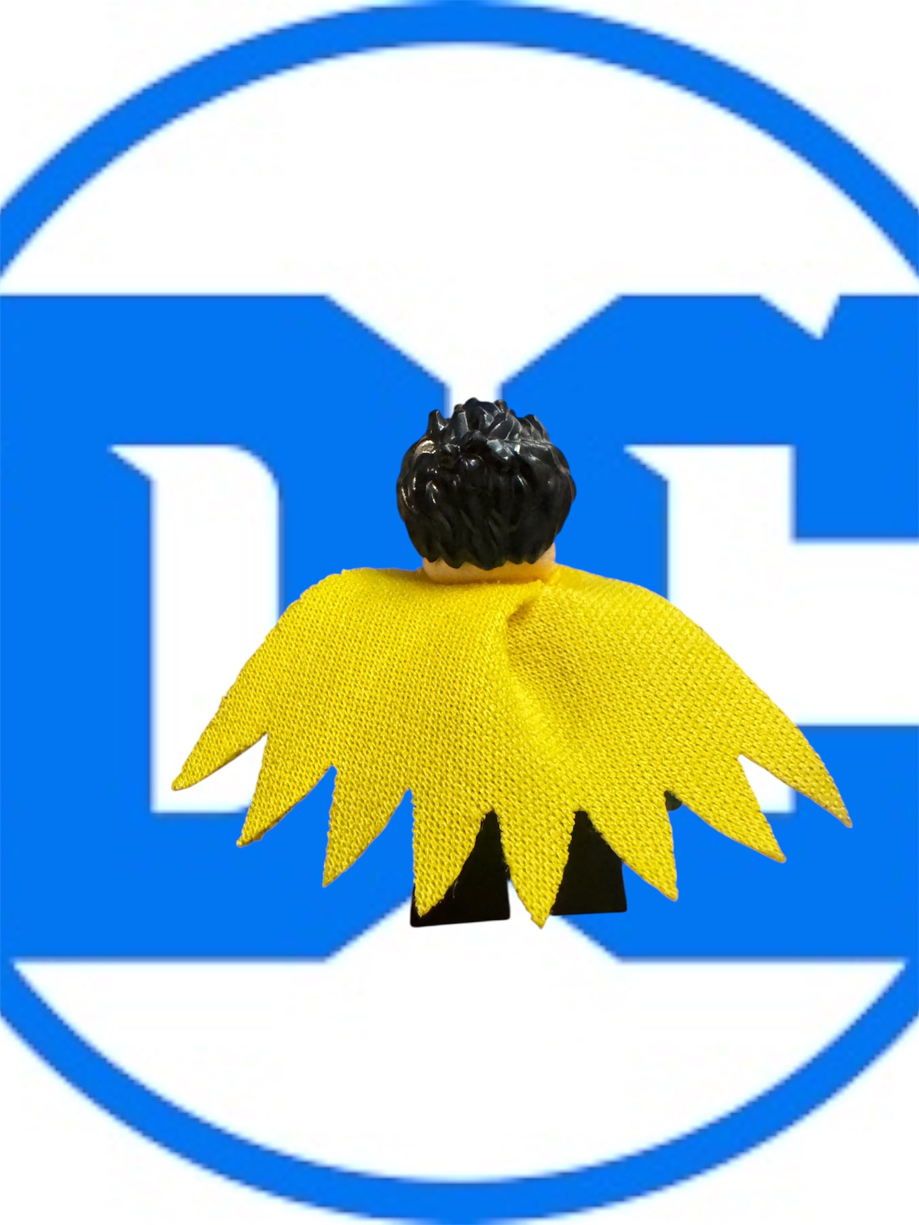 Lego Dc Robin sh0588